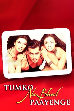 Download Tumko Na Bhool Paayenge (2002) WebRip Hindi 480p 720p