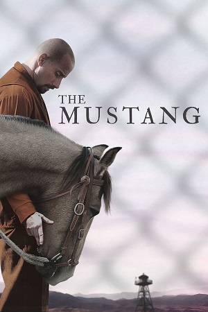 Download The Mustang (2019) BluRay [Hindi + English] ESub 480p 720p