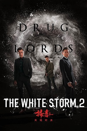 Download The White Storm 2: Drug Lords (2019) WebRip Hindi Dubbed ESub 480p 720p