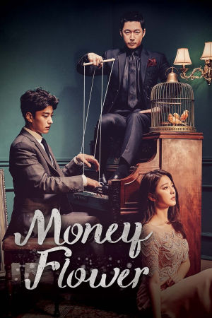Download Money Flower (2017) Season 1 WebRip Hindi Dubbed S01 ESub 720p - Complete