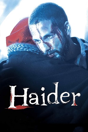 Download Haider (2014) BluRay Hindi ESub 480p 720p